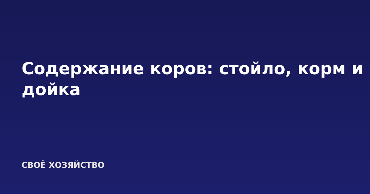 Содержание коров: стойло, корм и дойка