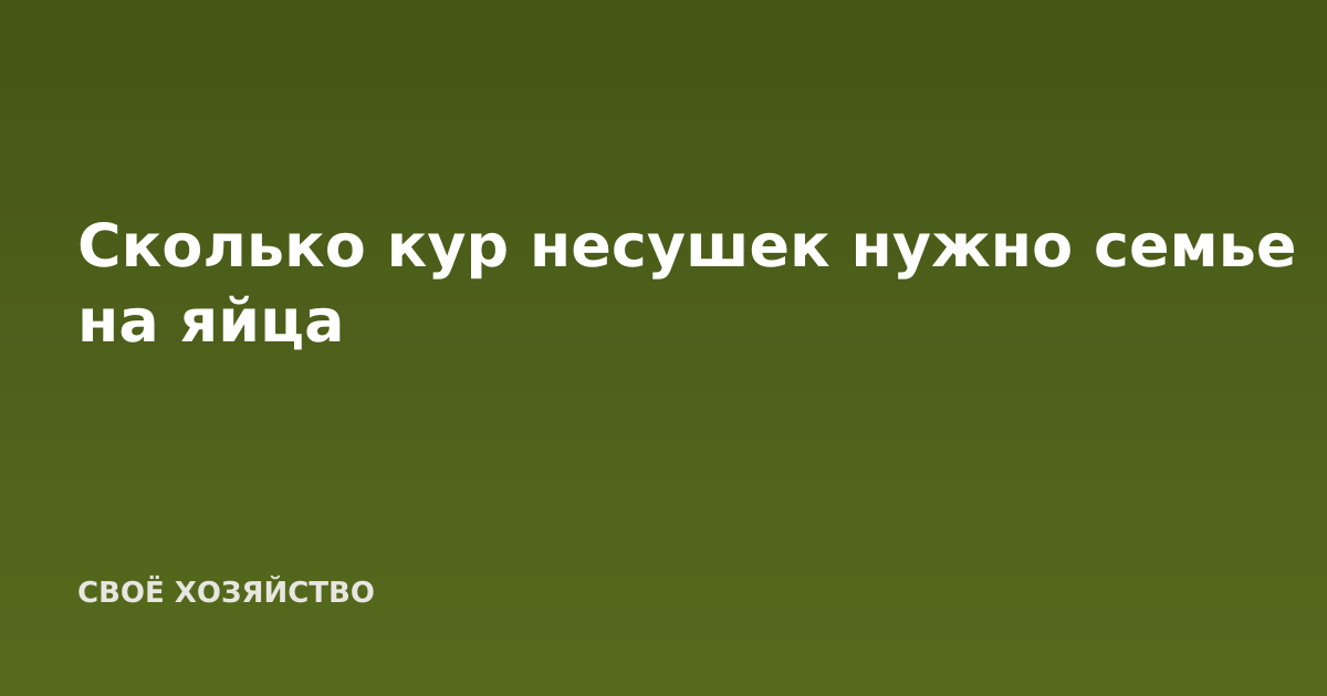 Сколько кур несушек нужно семье на яйца