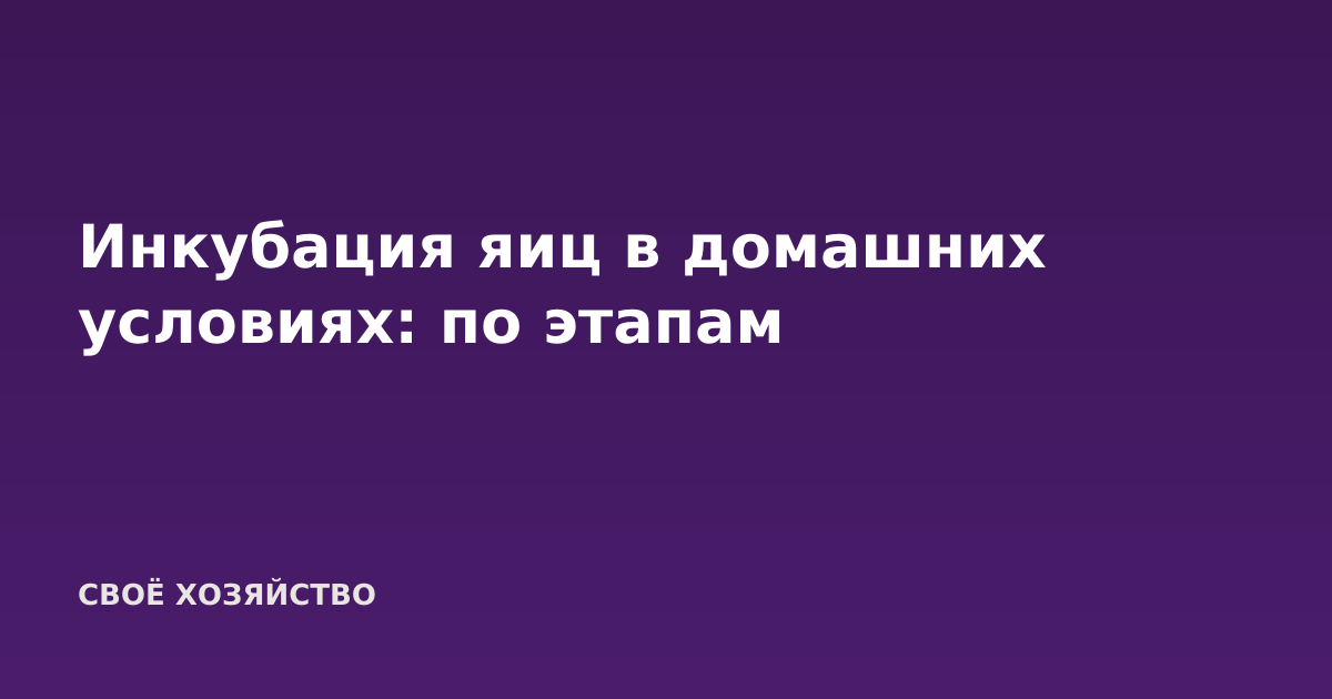 Инкубация яиц в домашних условиях: по этапам
