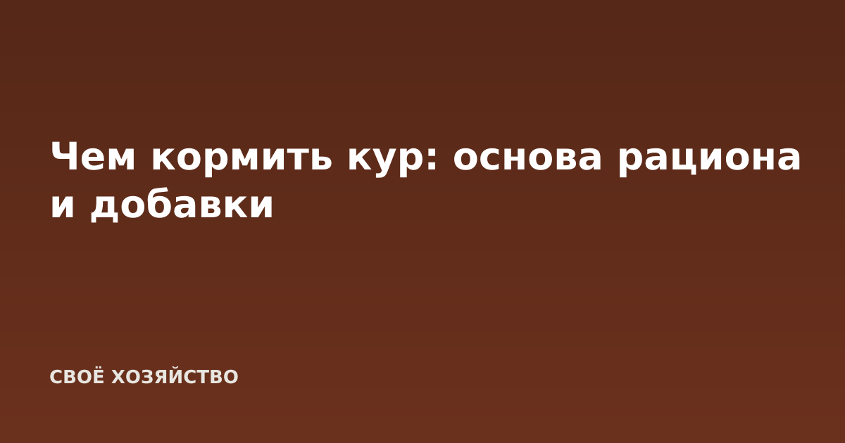Чем кормить кур: основа рациона и добавки