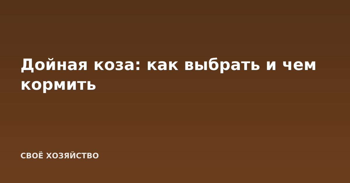 Дойная коза: как выбрать и чем кормить