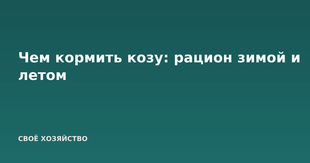 Чем кормить козу: рацион зимой и летом