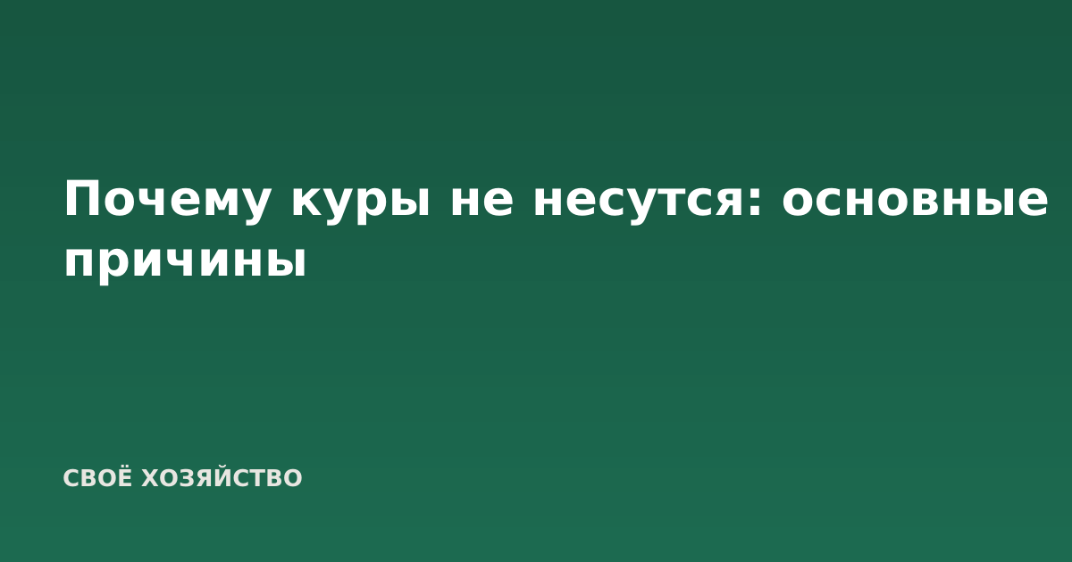 Почему куры не несутся: основные причины
