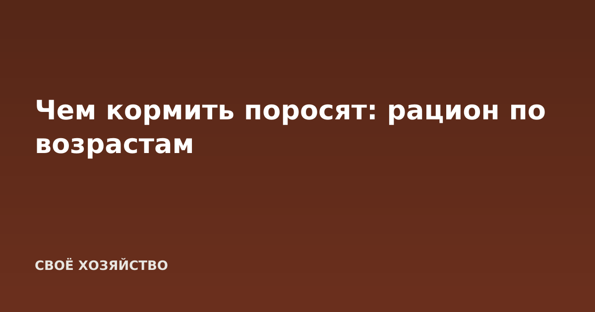 Чем кормить поросят: рацион по возрастам