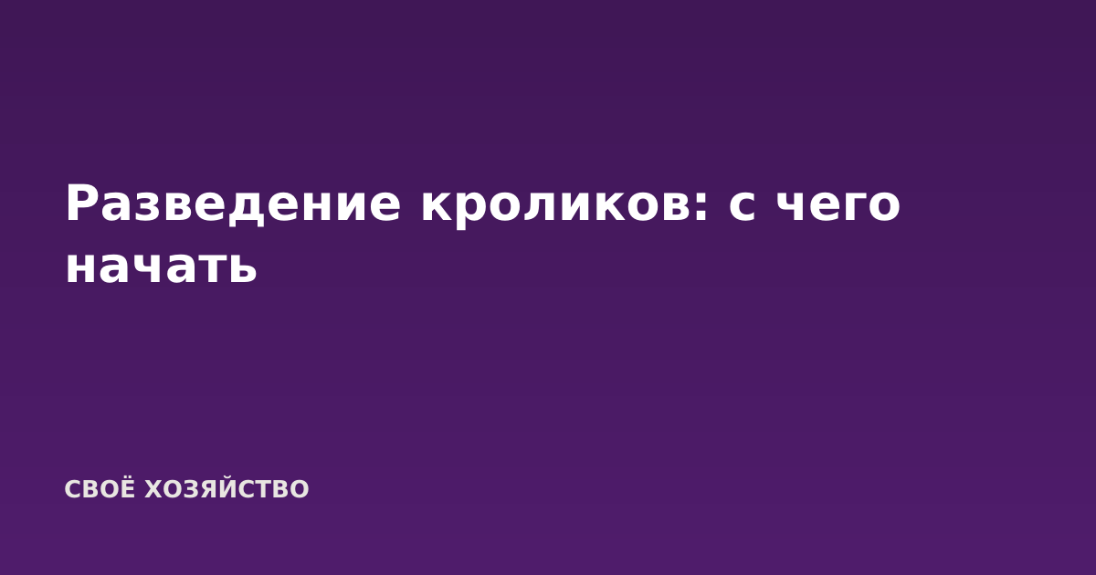 Разведение кроликов: с чего начать
